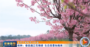 【美丽中国我是行动者】桂林:春染漓江花锦绣 生态美景如画来