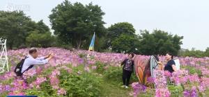【振奋精神争分夺秒 推动世界级旅游城市建设奋进突破】桂林:“花样经济”点亮生态文旅新赛道