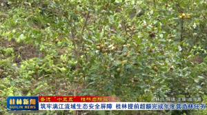 【奋进“十五五” 桂林启新篇】筑牢漓江流域生态安全屏障 桂林提前超额完成年度营造林任务